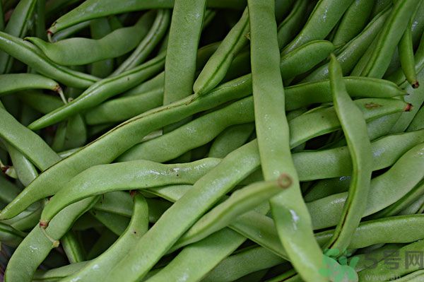 四季豆沒炒熟有毒嗎？四季豆沒熟吃了會怎樣？