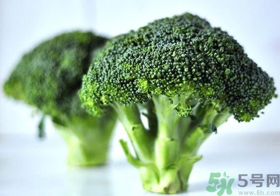 西蘭花是發(fā)物嗎？西蘭花是不是發(fā)物？