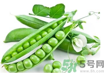 豌豆是涼性的嗎？豌豆是涼性還是熱性？