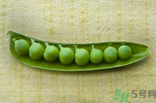 吃豌豆會(huì)發(fā)胖嗎豌豆的熱量高嗎？