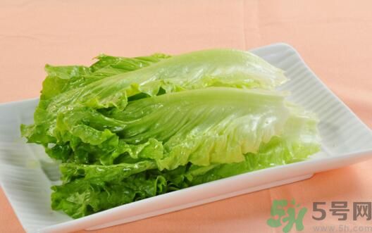 生菜會引起過敏嗎？吃生菜會過敏嗎？