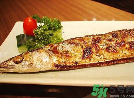 魚身上最有營養(yǎng)的地方是哪里？魚的功效與作用？