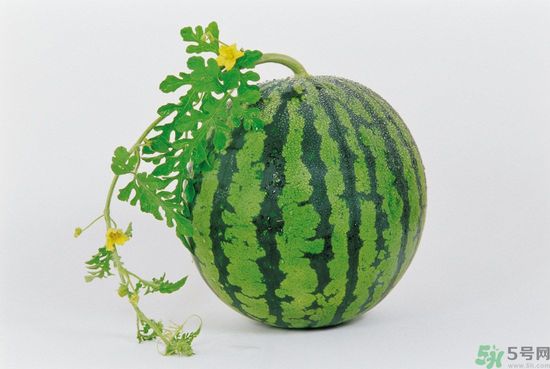 西瓜怎么挑熟的甜的？西瓜的儲存方法？