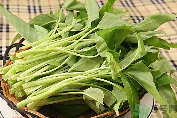 空心菜是菠菜嗎？空心菜是不是菠菜？