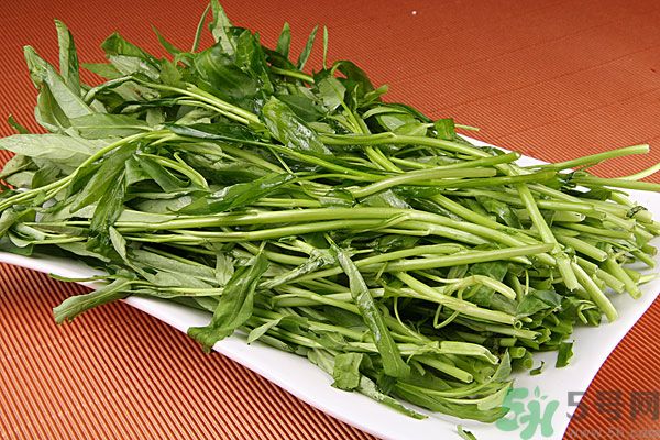 空心菜是菠菜嗎？空心菜是不是菠菜？
