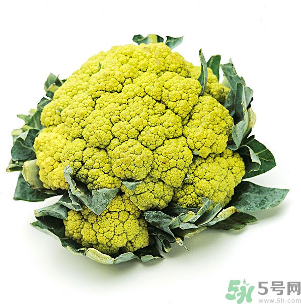 玉川和斯利安哪個好？葉酸片什么牌子最好？