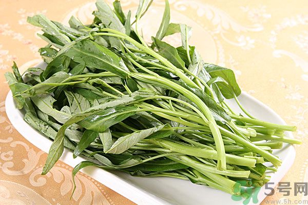 空心菜是菠菜嗎？空心菜是不是菠菜？
