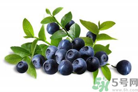 藍(lán)莓是不是發(fā)物？藍(lán)莓是發(fā)物嗎？