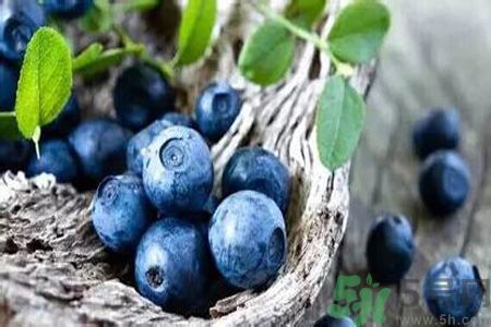 月經期間可以吃藍莓嗎？來月經可以吃藍莓嗎？