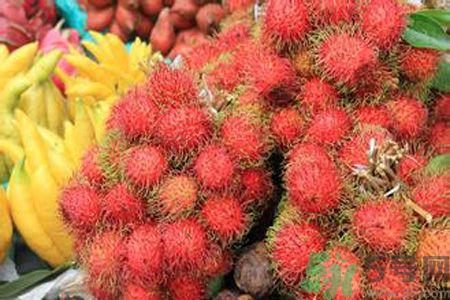 紅毛丹的殼可以吃嗎？紅毛丹的皮可以吃嗎？