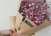 父親節(jié)送什么花好？父親節(jié)送什么花？