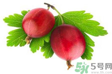 無花果酒有什么功效？無花果酒的做法