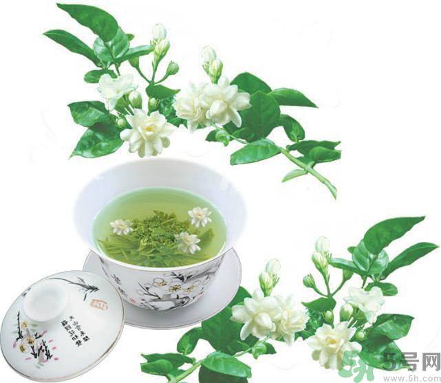 喝茉莉花茶會過敏嗎？喝茉莉花茶過敏了怎么辦？