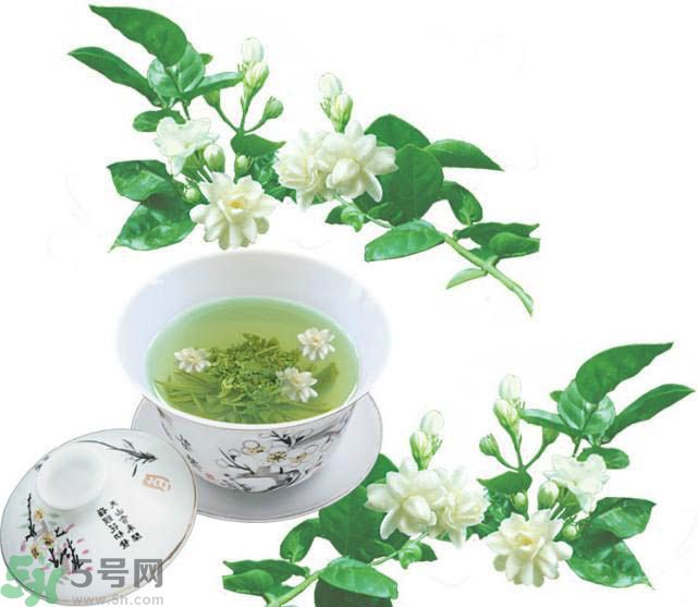 茉莉花茶可以減肥嗎？怎樣喝茉莉花茶可以減肥？