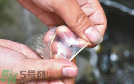 3個月懷孕2次 怎么辨別避孕套優(yōu)劣？