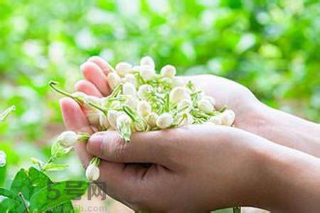 茉莉花茶可以和玫瑰花茶一起喝嗎？茉莉花茶和玫瑰花茶一起泡著喝好嗎？