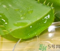 如何在家自制補水面膜？自制的面膜好用嗎？