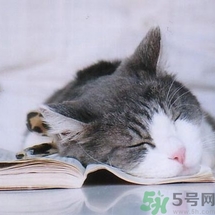 如何控油？如何控油祛痘？