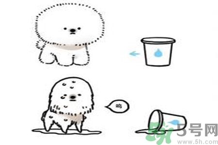 虛胖是什么意思？虛胖是胖嗎？