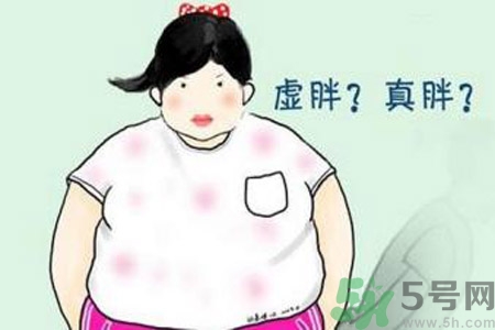 虛胖吃什么中藥？虛胖吃什么中藥有效？