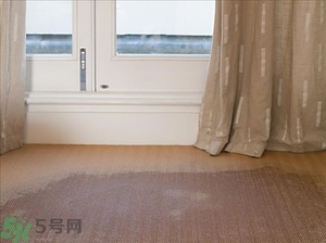 房間潮濕怎么辦？房間潮濕如何解決？