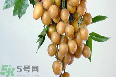 黃皮果是不是發(fā)物？黃皮果是發(fā)物嗎？