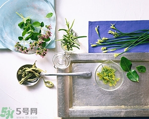吃韭菜能減肥嗎？韭菜的功效與作用