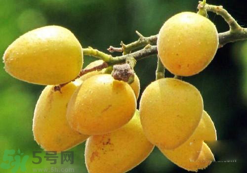 黃皮果的皮可以吃嗎？黃皮果的皮有什么作用