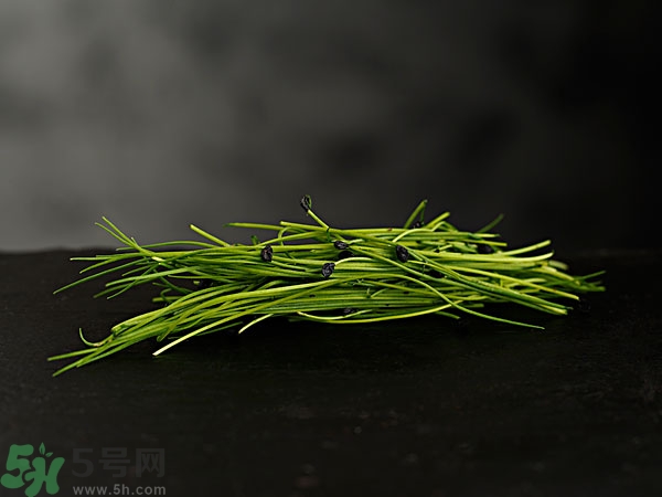 吃韭菜會(huì)燒心嗎？吃韭菜燒心怎么辦？