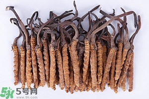 冬蟲夏草是怎么形成的？冬蟲夏草是蟲子嗎？