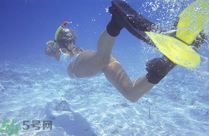浮潛是什么意思？深潛和浮潛有什么區(qū)別？?