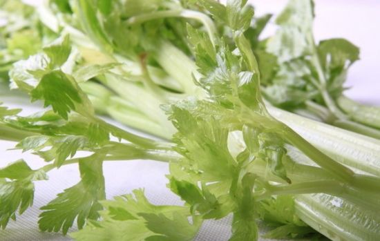 芹菜葉子能吃嗎?芹菜葉子的營養(yǎng)價(jià)值