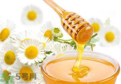 什么蜂蜜才是好蜂蜜？好壞蜂蜜的鑒別