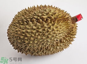 榴蓮沒開口可以吃嗎？榴蓮沒裂開能吃嗎？