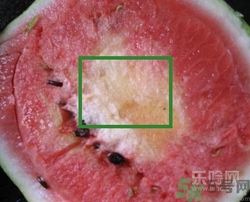 如何辨別催熟的西瓜？催熟的西瓜是什么樣的？