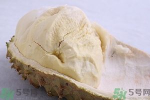 榴蓮能放冰箱嗎？榴蓮放在冰箱能保存幾天？