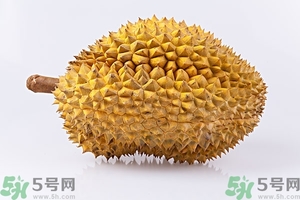 榴蓮能放冰箱嗎？榴蓮放在冰箱能保存幾天？