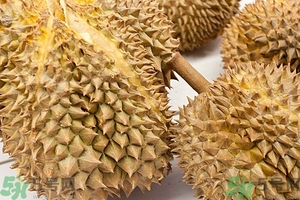 榴蓮能放冰箱嗎？榴蓮放在冰箱能保存幾天？