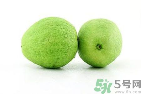 番石榴是熱性還是涼性？番石榴是涼性的嗎？