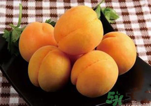 杏子是熱性還是涼性？杏子是涼性的嗎？