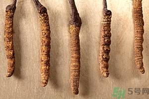 冬蟲(chóng)夏草真假怎么鑒別？冬蟲(chóng)夏草怎么吃效果最好？