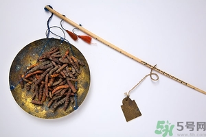 冬蟲(chóng)夏草真假怎么鑒別？冬蟲(chóng)夏草怎么吃效果最好？