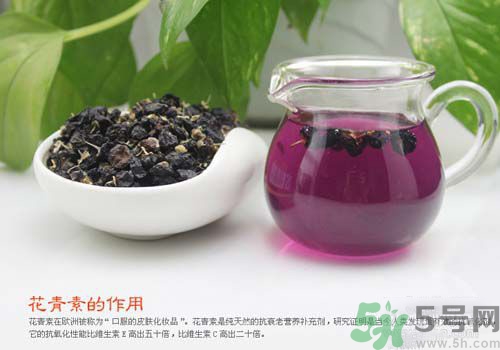 黑枸杞泡水是什么顏色？黑枸杞泡水是紫色的嗎？