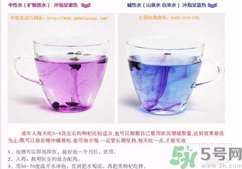 黑枸杞泡水是什么顏色？黑枸杞泡水是紫色的嗎？