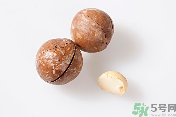 夏威夷果什么時(shí)候成熟上市？腰果和夏威夷果的區(qū)別