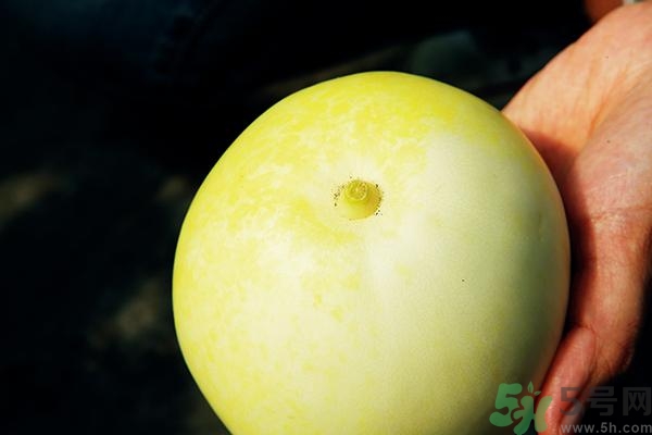 香瓜有酒味能吃嗎？香瓜有酒味吃了會怎樣？