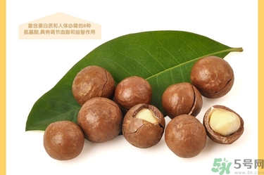 夏威夷果肉黏殼怎么辦？夏威夷果能放多久？