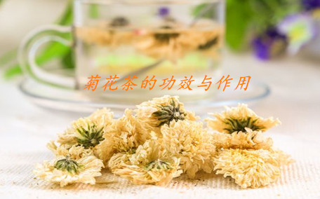 菊花茶買大的好還是小的好 菊花茶買什么牌子好