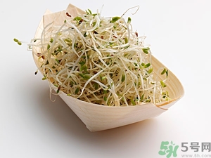 豆芽可以生吃嗎？豆芽炒粉條的家常做法
