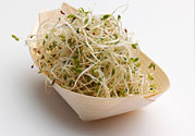 豆芽可以生吃嗎？豆芽炒粉條的家常做法